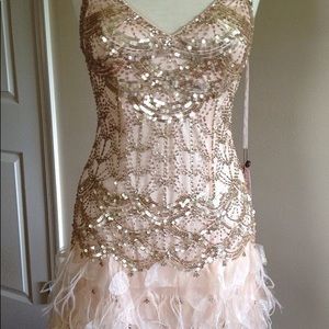 NWT Sue Wong Drop Waist Blush Dress size 6